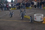 05112022_Nikon D800_23rd Round to Hokkaido_Noboribetsu Nixe Marine Park_King Penguin Parade00002