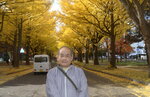07112022_Nikon D800_23rd Round to Hokkaido_Hokkaido University Golden Leaf00043