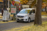 07112022_Nikon D800_23rd Round to Hokkaido_Hokkaido University Golden Leaf00044