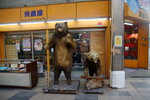 07112022_Nikon D800_23rd Round to Hokkaido_Tanuki Koji00031