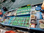 11022022_Sai Kung00028