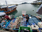11022022_Sai Kung00033