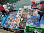 11022022_Sai Kung00034