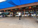 11022022_Sai Kung00042