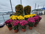 11022022_Sai Kung00043