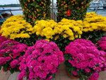 11022022_Sai Kung00044