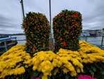11022022_Sai Kung00045