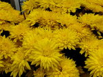11022022_Sai Kung00046