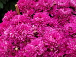 11022022_Sai Kung00047