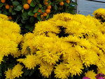 11022022_Sai Kung00048