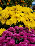 11022022_Sai Kung00049