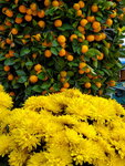11022022_Sai Kung00050
