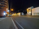 03112022_Samsung Smartphone Galaxy S10 Plus_23rd Round to Hokkaido_Hakodate_Goryokaku00001