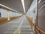 03112022_Samsung Smartphone Galaxy S10 Plus_23rd Round to Hokkaido_Hakodate_Goryokaku00011