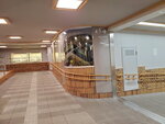 03112022_Samsung Smartphone Galaxy S10 Plus_23rd Round to Hokkaido_Hakodate_Goryokaku00012
