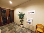 03112022_Samsung Smartphone Galaxy S10 Plus_23rd Round to Hokkaido_Hakodate Goryokaku_Hotel Mystays00004