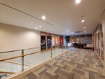 03112022_Samsung Smartphone Galaxy S10 Plus_23rd Round to Hokkaido_Hakodate Goryokaku_Hotel Mystays00005