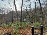 03112022_Samsung Smartphone Galaxy S10 Plus_23rd Round to Hokkaido_Meisui no Furusato_Kyogau00022