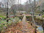 03112022_Samsung Smartphone Galaxy S10 Plus_23rd Round to Hokkaido_Meisui no Furusato_Kyogau00025
