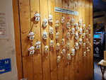 03112022_Samsung Smartphone Galaxy S10 Plus_23rd Round to Hokkaido_Otaru Orgel00029