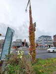 03112022_Samsung Smartphone Galaxy S10 Plus_23rd Round to Hokkaido_Otaru Unga00003