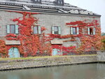 03112022_Samsung Smartphone Galaxy S10 Plus_23rd Round to Hokkaido_Otaru Unga00014