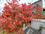03112022_Samsung Smartphone Galaxy S10 Plus_23rd Round to Hokkaido_Otaru Unga00020