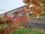 03112022_Samsung Smartphone Galaxy S10 Plus_23rd Round to Hokkaido_Otaru Unga00021