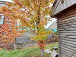 03112022_Samsung Smartphone Galaxy S10 Plus_23rd Round to Hokkaido_Otaru Unga00022