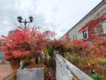 03112022_Samsung Smartphone Galaxy S10 Plus_23rd Round to Hokkaido_Otaru Unga00023