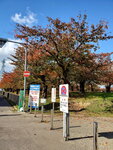 04112022_Samsung Smartphone Galaxy S10 Plus_23rd Round to Hokkaido_Goryokaku Koen00004