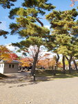 04112022_Samsung Smartphone Galaxy S10 Plus_23rd Round to Hokkaido_Goryokaku Koen00007