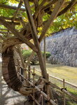 04112022_Samsung Smartphone Galaxy S10 Plus_23rd Round to Hokkaido_Goryokaku Koen00011