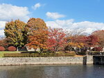04112022_Samsung Smartphone Galaxy S10 Plus_23rd Round to Hokkaido_Goryokaku Koen00014