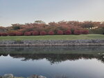 04112022_Samsung Smartphone Galaxy S10 Plus_23rd Round to Hokkaido_Morning Scene of Goryokaku Koen00013