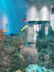 05112022_Samsung Smartphone Galaxy S10 Plus_23rd Round to Hokkaido_Noboribetsu Nixe Marine Park_Aqua Park00026