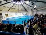 05112022_Samsung Smartphone Galaxy S10 Plus_23rd Round to Hokkaido_Noboribetsu Nixe Marine Park_Sea Lion Show00001