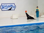 05112022_Samsung Smartphone Galaxy S10 Plus_23rd Round to Hokkaido_Noboribetsu Nixe Marine Park_Sea Lion Show00012