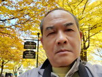 07112022_Samsung Smartphone Galaxy S10 Plus_23rd Round to Hokkaido_Hokkaido University Golden Leaf00064