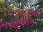 09032022_Tin Shui Wai00034