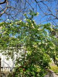 09032022_Tin Shui Wai00048