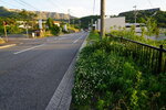 09052023_Sony A7 II_Kyushu TourMorinoyu Morning Scene and Adjacent Area00027