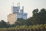 10052023_Sony A7 II_Kyushu Tour_Ana Holiday Inn Resort Morning Scene00017