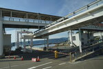 10052023_Sony A7 II_Kyushu Tour_Sakurajima Ferry Line00008