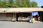 10052023_Sony A7 II_Kyushu Tour_Sakurajima Kasan00027