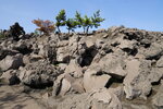 10052023_Sony A7 II_Kyushu Tour_Sakurajima Kasan00035