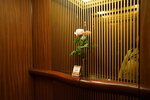 11052023_Sony A7 II_Kyushu Tour_Kumamoto Hotel Castle00002