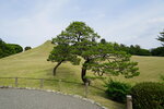 11052023_Sony A7 II_Kyushu Tour_Suizenji Jojuen00036