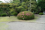 11052023_Sony A7 II_Kyushu Tour_Suizenji Jojuen00038