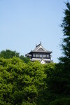 12052023_Sony A7 II_Kyushu Tour_Kumamoto Castle00009